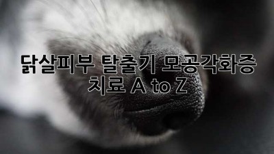 닭살피부 탈출기! 모공각화증 치료 A to Z 💖